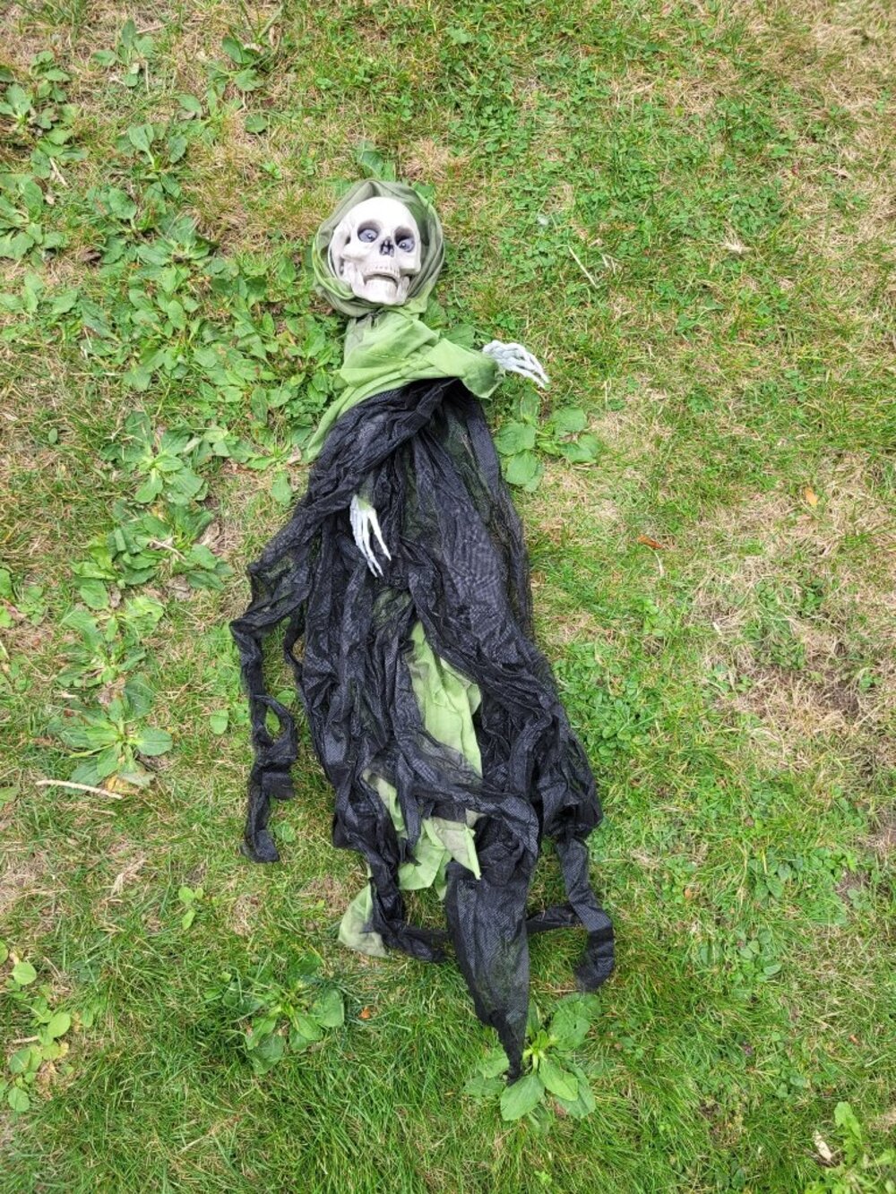 Spooky Halloween skeleton decoration with a creepy skull